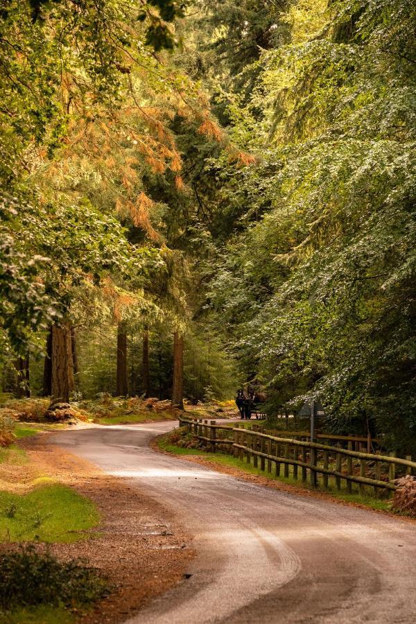 New Park Manor Hotel - A Luxury Family Hotel Brockenhurst Kültér fotó