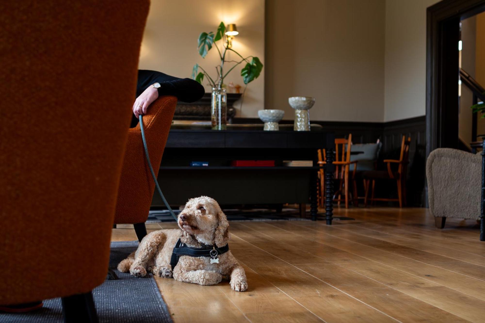 New Park Manor Hotel - A Luxury Family Hotel Brockenhurst Kültér fotó